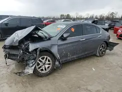 1HGCR2F36HA195626 2017 HONDA ACCORD
