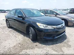 1HGCR2F38HA135007 2017 HONDA ACCORD