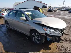 1HGCR2F38HA177368 2017 HONDA ACCORD