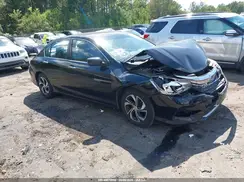 1HGCR2F38HA256197 2017 HONDA ACCORD