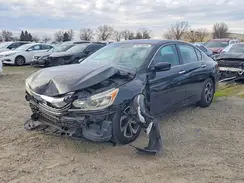 1HGCR2F38HA259066 2017 HONDA ACCORD