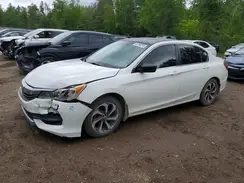 1HGCR2F38HA806157 2017 HONDA ACCORD