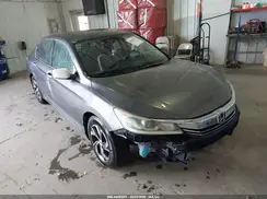1HGCR2F39HA020884 2017 HONDA ACCORD