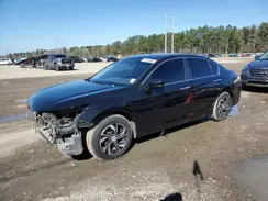 1HGCR2F39HA227808 2017 HONDA ACCORD