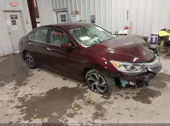 1HGCR2F39HA243667 2017 HONDA ACCORD