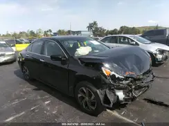 1HGCR2F42HA142883 2017 HONDA ACCORD
