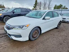 1HGCR2F43GA800239 2016 HONDA ACCORD