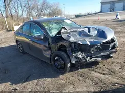 1HGCR2F46GA127737 2016 HONDA ACCORD