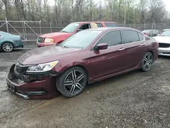 1HGCR2F50HA116582 2017 HONDA ACCORD