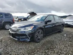 1HGCR2F50HA142096 2017 HONDA ACCORD