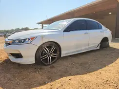 1HGCR2F50HA144950 2017 HONDA ACCORD
