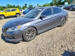 1HGCR2F50HA159450 2017 HONDA ACCORD