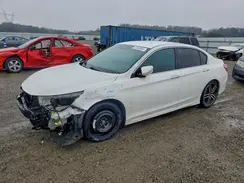 1HGCR2F50HA225205 2017 HONDA ACCORD