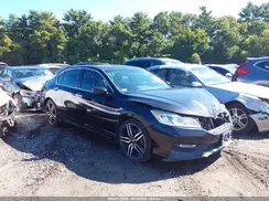 1HGCR2F50HA275943 2017 HONDA ACCORD