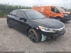 1HGCR2F50HA809393 2017 HONDA ACCORD