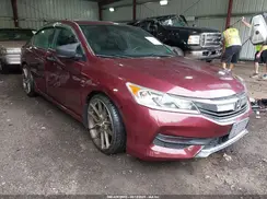 1HGCR2F51GA020216 2016 HONDA ACCORD