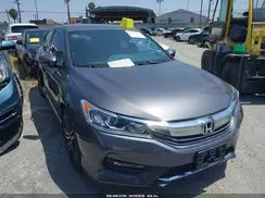 1HGCR2F51GA113446 2016 HONDA ACCORD