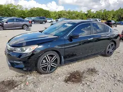 1HGCR2F51HA005667 2017 HONDA ACCORD
