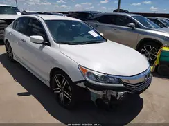 1HGCR2F51HA023411 2017 HONDA ACCORD