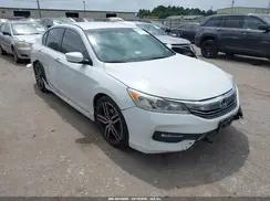 1HGCR2F51HA043416 2017 HONDA ACCORD
