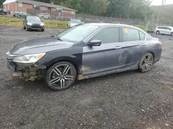 1HGCR2F51HA070079 2017 HONDA ACCORD
