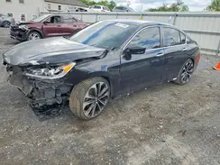 1HGCR2F51HA082703 2017 HONDA ACCORD