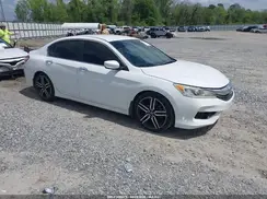 1HGCR2F51HA133584 2017 HONDA ACCORD