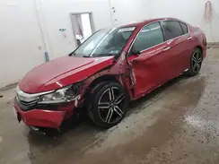 1HGCR2F51HA241977 2017 HONDA ACCORD
