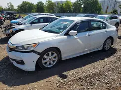 1HGCR2F51HA270203 2017 HONDA ACCORD
