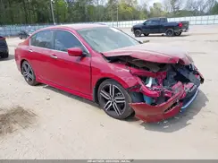 1HGCR2F51HA299278 2017 HONDA ACCORD
