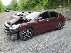 1HGCR2F51HA307296 2017 HONDA ACCORD