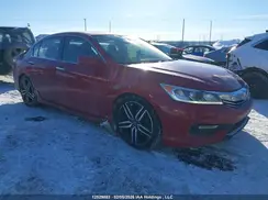1HGCR2F51HA801559 2017 HONDA ACCORD