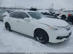 1HGCR2F51HA804803 2017 HONDA ACCORD
