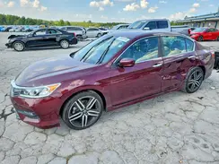 1HGCR2F52HA023305 2017 HONDA ACCORD