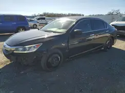 1HGCR2F52HA107446 2017 HONDA ACCORD