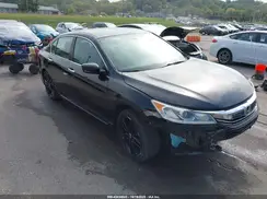 1HGCR2F52HA125476 2017 HONDA ACCORD