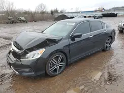 1HGCR2F52HA153424 2017 HONDA ACCORD