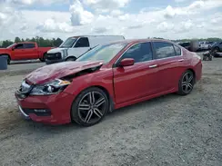 1HGCR2F52HA194488 2017 HONDA ACCORD