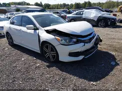1HGCR2F52HA201696 2017 HONDA ACCORD