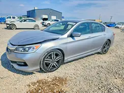 1HGCR2F52HA239798 2017 HONDA ACCORD