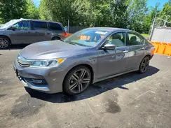 1HGCR2F52HA243446 2017 HONDA ACCORD