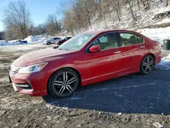 1HGCR2F52HA246511 2017 HONDA ACCORD