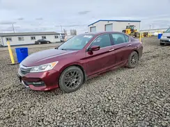 1HGCR2F52HA281789 2017 HONDA ACCORD