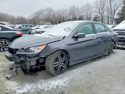 1HGCR2F52HA282361 2017 HONDA ACCORD