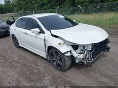1HGCR2F52HA300082 2017 HONDA ACCORD