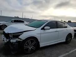 1HGCR2F52HA305721 2017 HONDA ACCORD