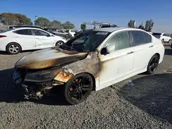 1HGCR2F52HA305833 2017 HONDA ACCORD