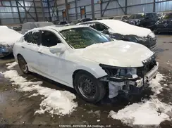 1HGCR2F52HA807516 2017 HONDA ACCORD