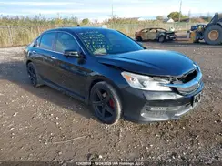 1HGCR2F52HA810593 2017 HONDA ACCORD
