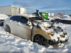 1HGCR2F52HA810724 2017 HONDA ACCORD